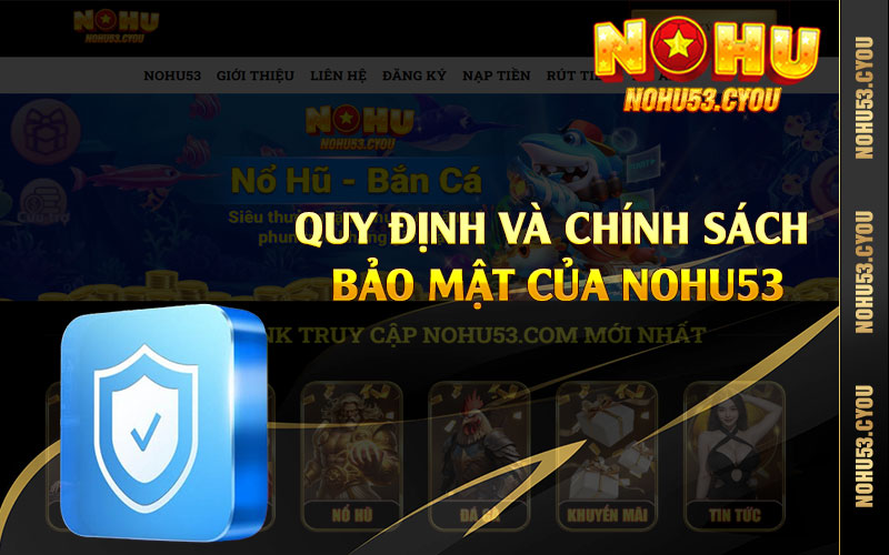 Quy định và chính sách bảo mật của Nohu53