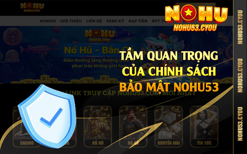 Tầm quan trọng của chính sách bảo mật Nohu53