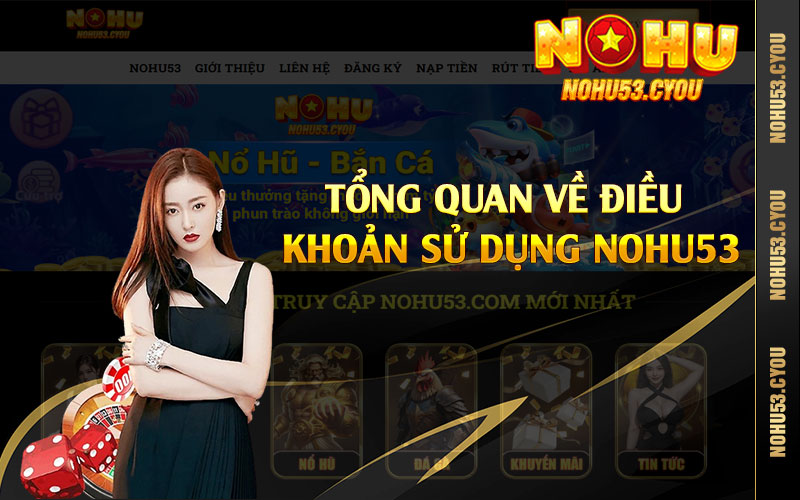 Tổng quan về điều khoản sử dụng Nohu53